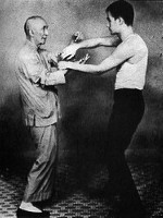 ip man es bruce lee